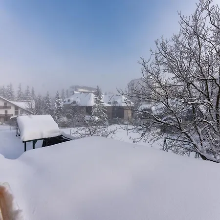 Apartment Romantika Zlatibor